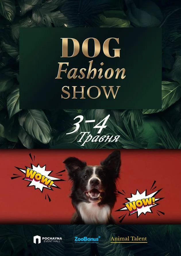 🐶 Модний показ для собак 2025 🎀 dog_fation_snow